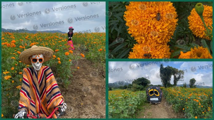 GridArt_20251019_124955311