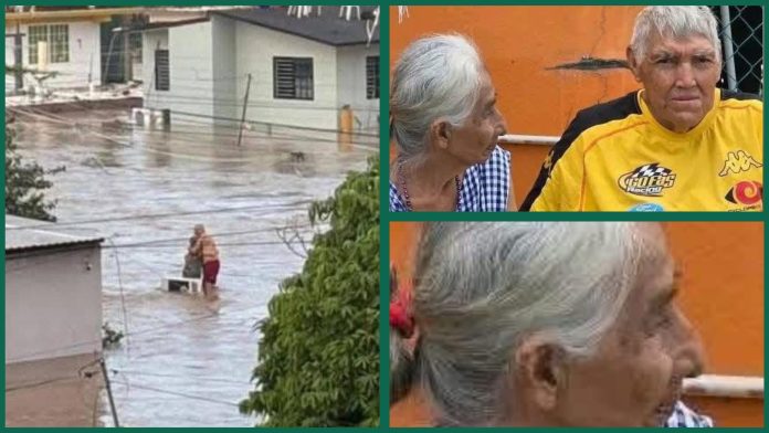 GridArt_20251027_142535693