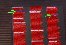 Diputada Denisse Guzmán celebra el Presupuesto 2026 y reconoce el liderazgo de Sheinbaum y Nahle