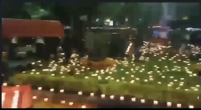 Screenshot_20251101_224025_com_hihonor_photos_SlotAlbumActivity