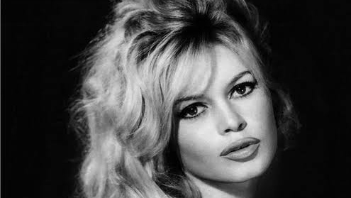 images (36)_edit_225841584671503