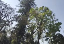 Rachas casi de 68 kilómetros por hora en Xalapa, este jueves