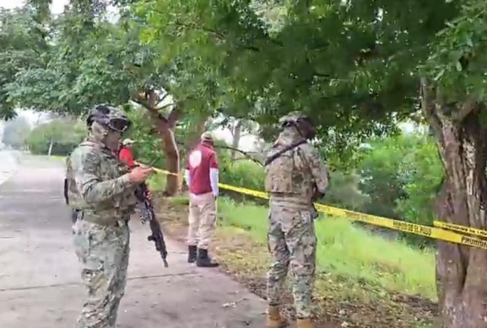 WhatsApp Image 2024-01-09 at 10.42.58