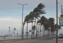 Pronostican rachas de hasta 100 kilómetros por hora por frente frío del próximo domingo