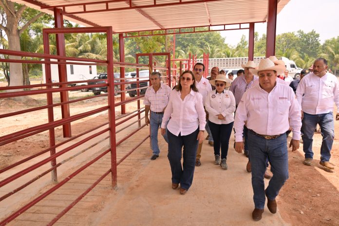 Sin título camionetas gusano