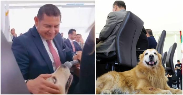 images - 2025-08-06T145455.892