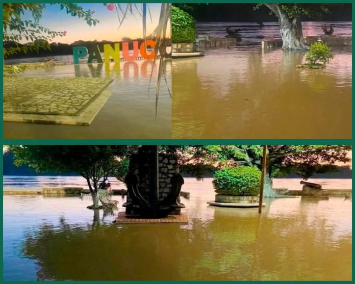 GridArt_20251018_103501176