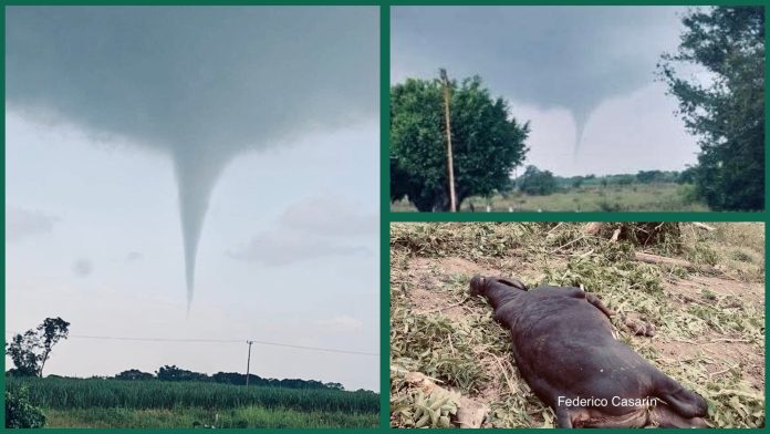 GridArt_20251029_200306707