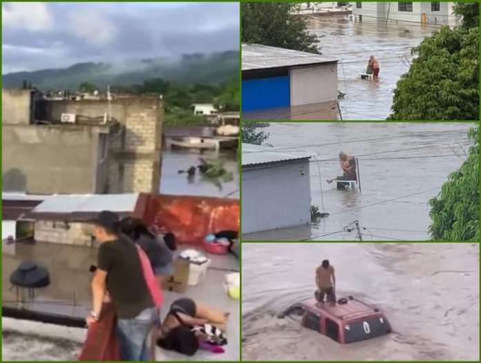 descarga - 2025-10-10T111417.893