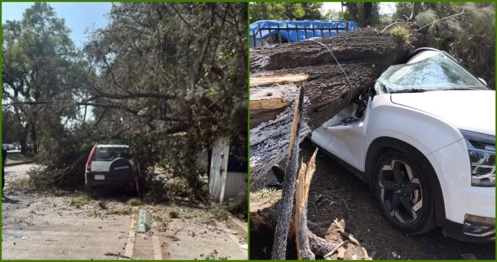 descarga - 2025-10-29T121459.483