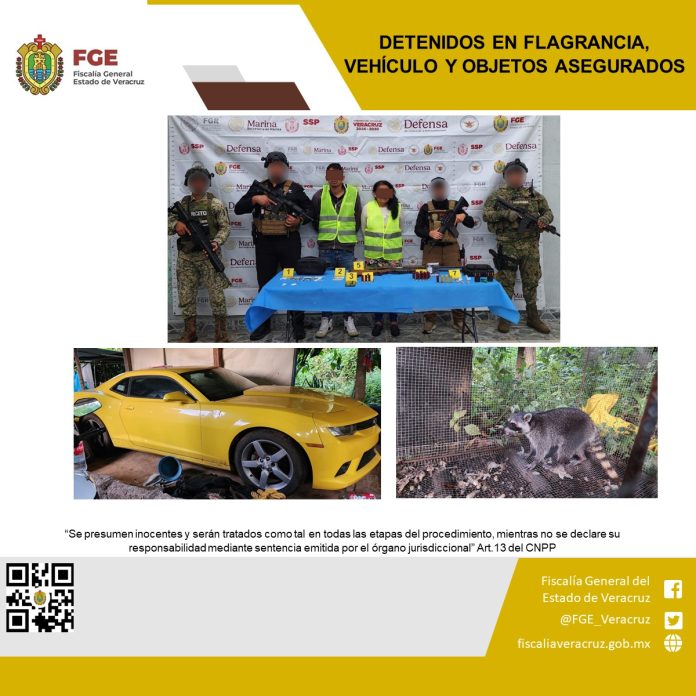 IMG-20251113-WA0019(1)