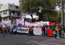 OPINIÓN / EL PROBLEMA DE LA CAÑA DE AZÚCAR; NO SANARÁ SOLO CON “MEJORALITOS”