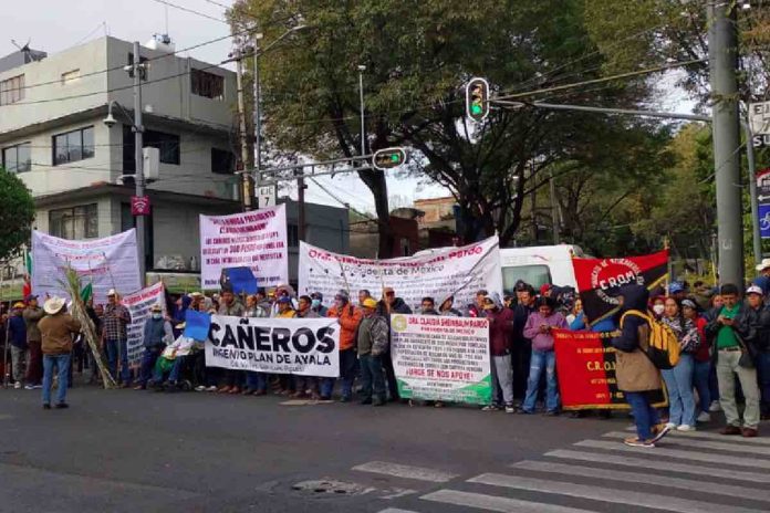 Productores-de-cana-de-varios-estados-protestaron-frente-a-la-Secretaria-de-Agricultura-y-Desarrollo-Rural-Sader_2