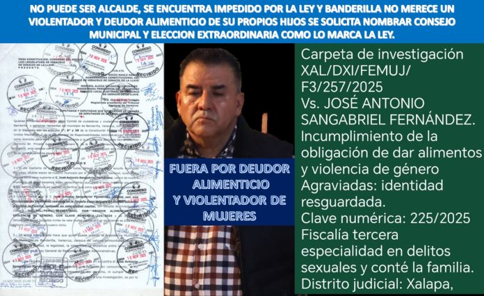 Sin título Banderilla