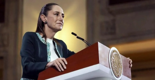 Sin título Shein-Miss