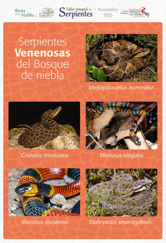 Sin título serpiemtes