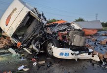 Choque de tráilers en la autopista Veracruz-Córdoba deja como saldo un muerto y un lesionado; rapiñan cartones de cerveza