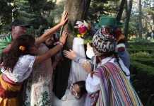 Celebran «boda» entre personas y árboles en parque de La Condesa, CDMX