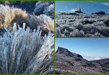 Se registró cencellada en Perote, la mañana de este martes