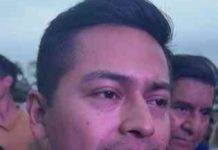 Ratón de Campo Viejo