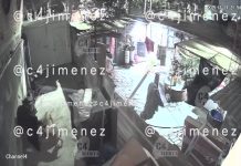 IMÁGENES FUERTES/ VIDEO/ Perros pitbull atacan a mujer en CDMX