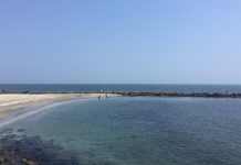 Declara COFEPRIS que Playa Martí, en los límites de Veracruz y Boca del Río, no es apta para nadar o uso recreativo