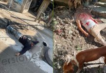 Aunque el alcalde de El Higo minimiza hechos de violencia, sigue caliente la plaza: ejecutan a dos en pleno centro de ese municipio