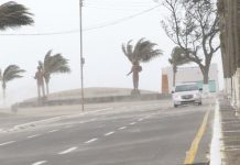 Pronostican «norte» entre lunes y martes; rachas podrían ser hasta de 90 km/h