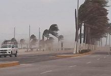 Frente frío #21 provocará rachas de viento de hasta 70 kilómetros este lunes, en zonas costeras de Veracruz