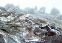 Reportan heladas este miércoles en zonas montañosas de Veracruz