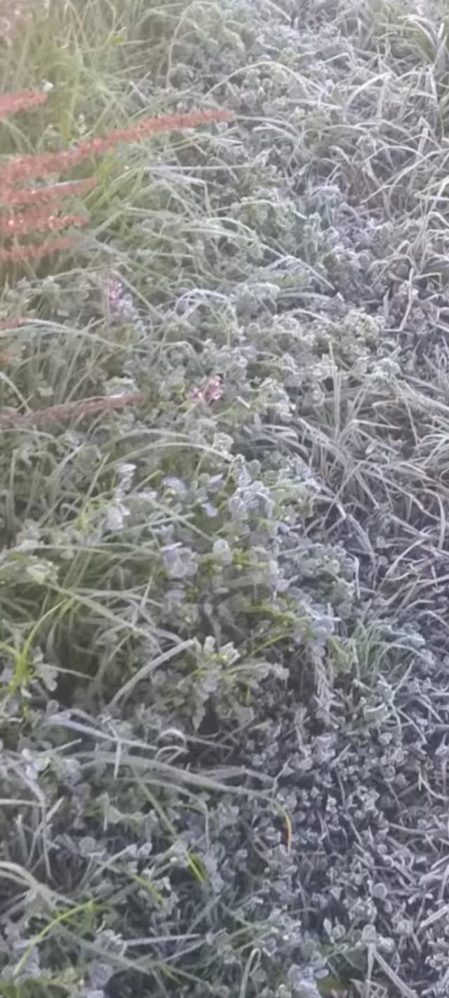 612444352_10235312436764333_4475203694163600978_n