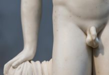 La ciencia del pene: investigadores concluyen que el tamaño sí importa