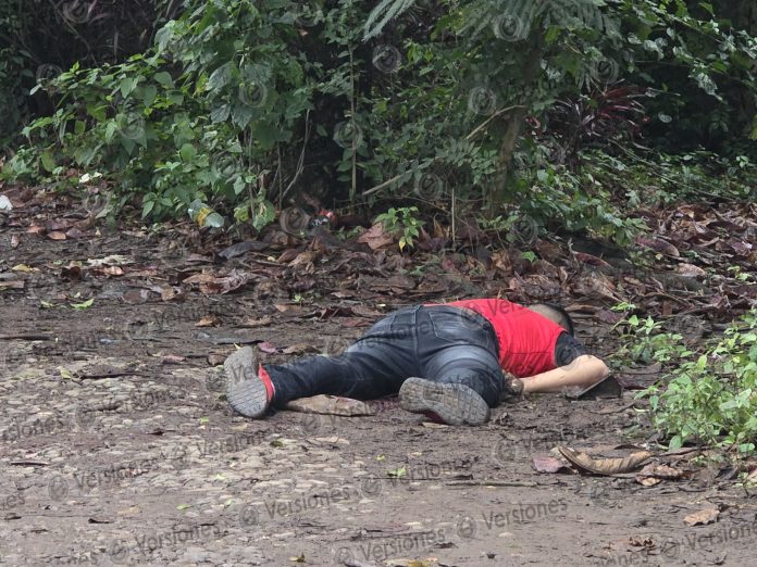 GridArt_20260126_204736300