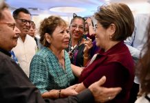 Protección animal en la ciudad de Veracruz: esfuerzo compartido entre sociedad y gobierno