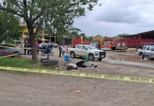 Comando acribilla a dos compradores de cítricos y a una mujer, en Álamo