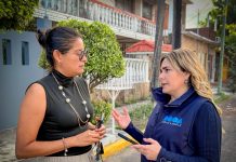 Retiro de “autos maceta” libera banquetas, mejora movilidad y refuerza el orden en la ciudad, destaca Maryjose Gamboa