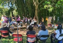 El Senderito de Bosque de Niebla de Coatepec ha sufrido 12 robos en 4 meses