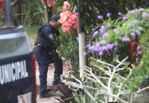 Asesina a su madre y quema el cuerpo en Agua Dulce