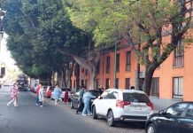 Sismo magnitud 6.5 despierta a la CDMX