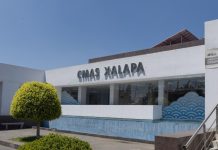 ¿Ya habrá saldado Daniela Griego la deuda de CMAS con la lana que le dejó Beto Islas?