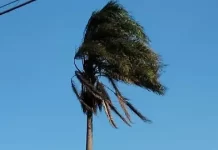 Reportan surada en Orizaba; pronostican para el domingo rachas de hasta 60 km/hora