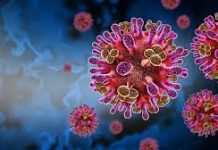 Emiten alerta epidemiológica en India por brote del virus Nipah; 190 personas están en cuarentena; actualmente no hay tratamiento ni vacuna