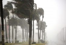 Pronostican rachas de hasta 95 km/hora en zonas costeras, este viernes