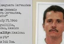 EU cooperó en operativo donde “El Mencho” y seis integrantes del CJNG fueron abatidos, confirma SEDENA