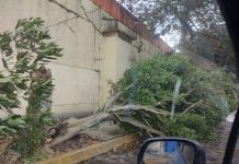 Se registraron rachas hasta de 66 kilómetros por hora en Xalapa