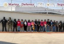 Detienen al jefe operativo del CJNG en la zona conurbada Veracruz-Boca del Río; también aprehendieron a otros 13 sujetos