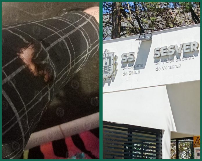 GridArt_20260226_120427176