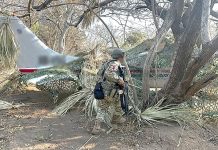 Aseguran una narco avioneta con más de media tonelada de droga en Oaxaca