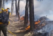 Se han registrado tres incendios en las últimas 48 horas en Perote