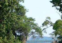 Se registran dos nuevos récords de temperaturas mínimas en Catemaco y Mecayapan